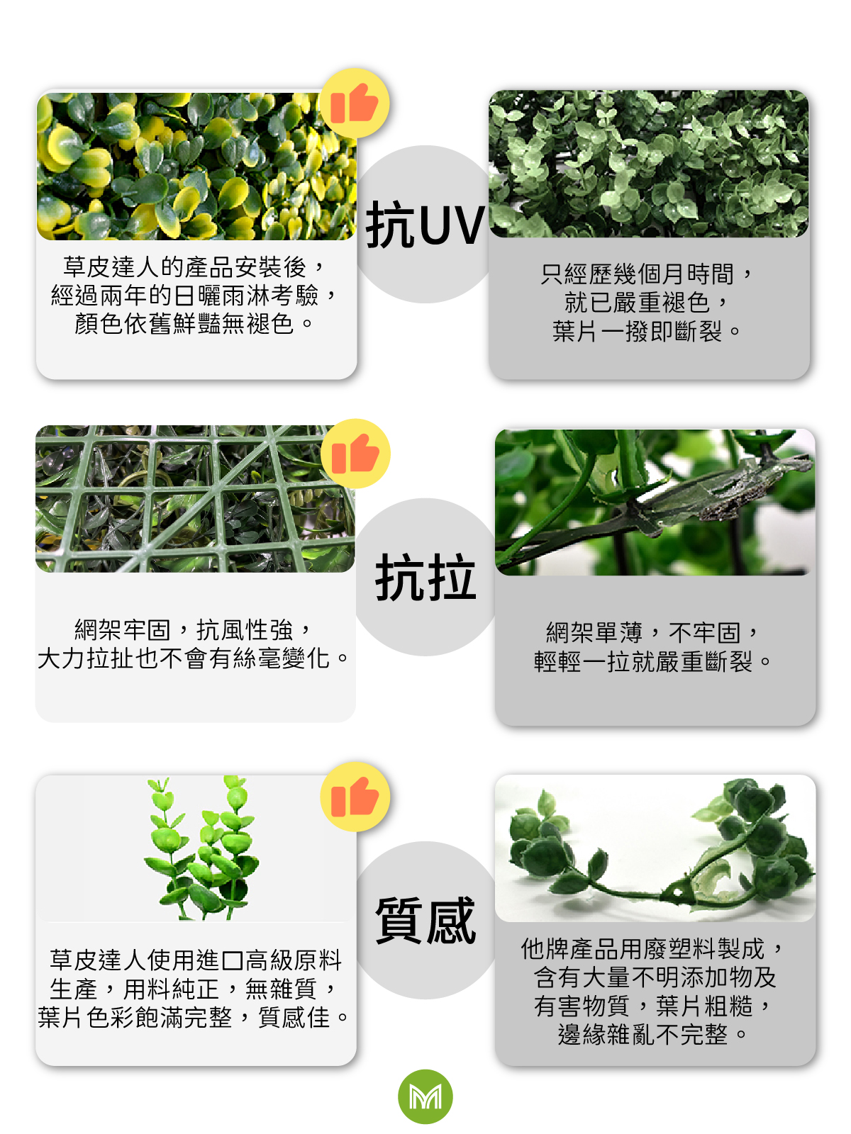 草皮達人[Masturf]-金星報喜