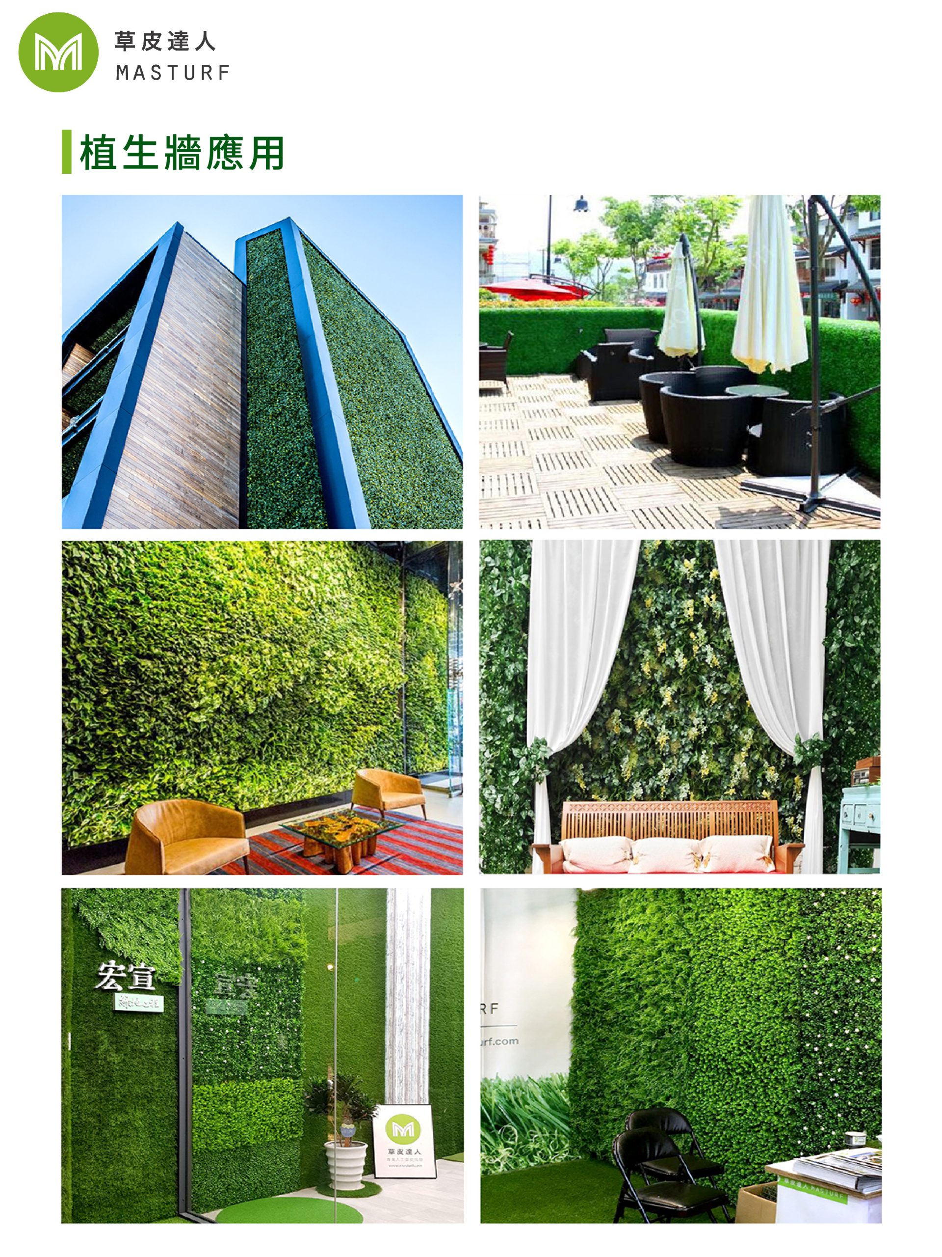 草皮達人[Masturf]-金星報喜