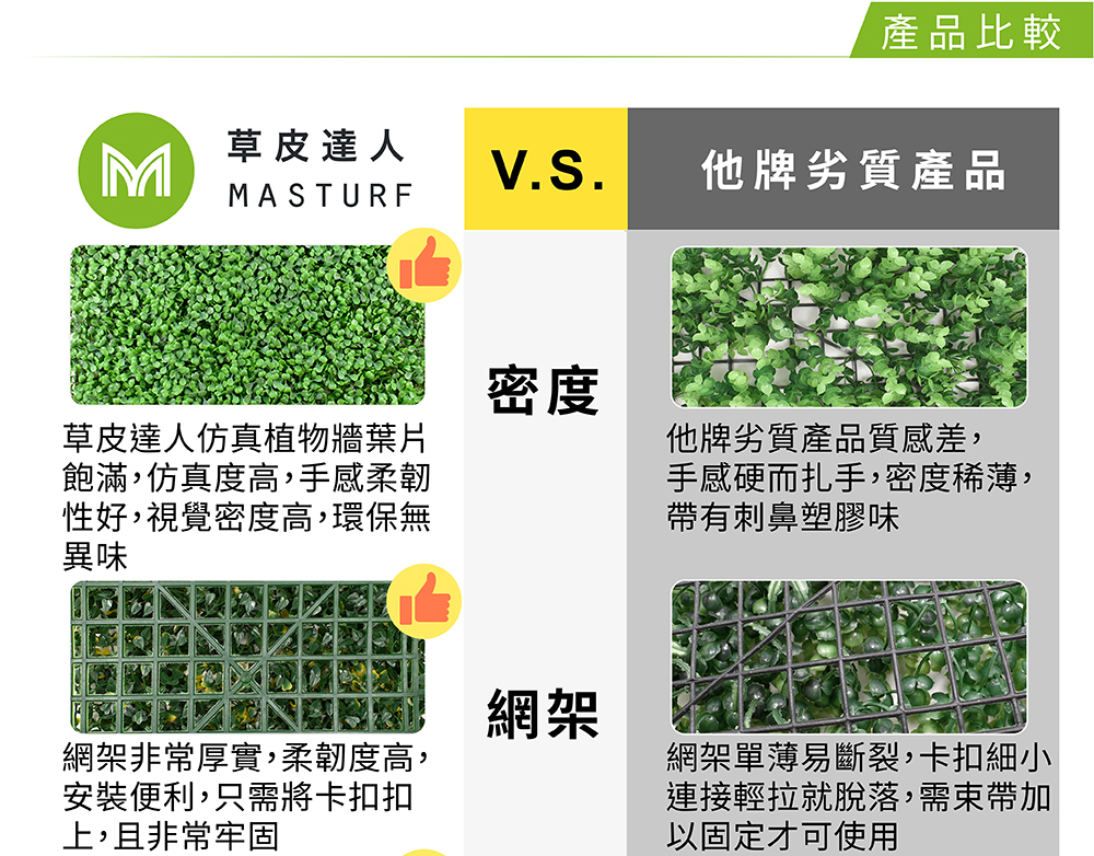 草皮達人[Masturf]-黃金小楓葉