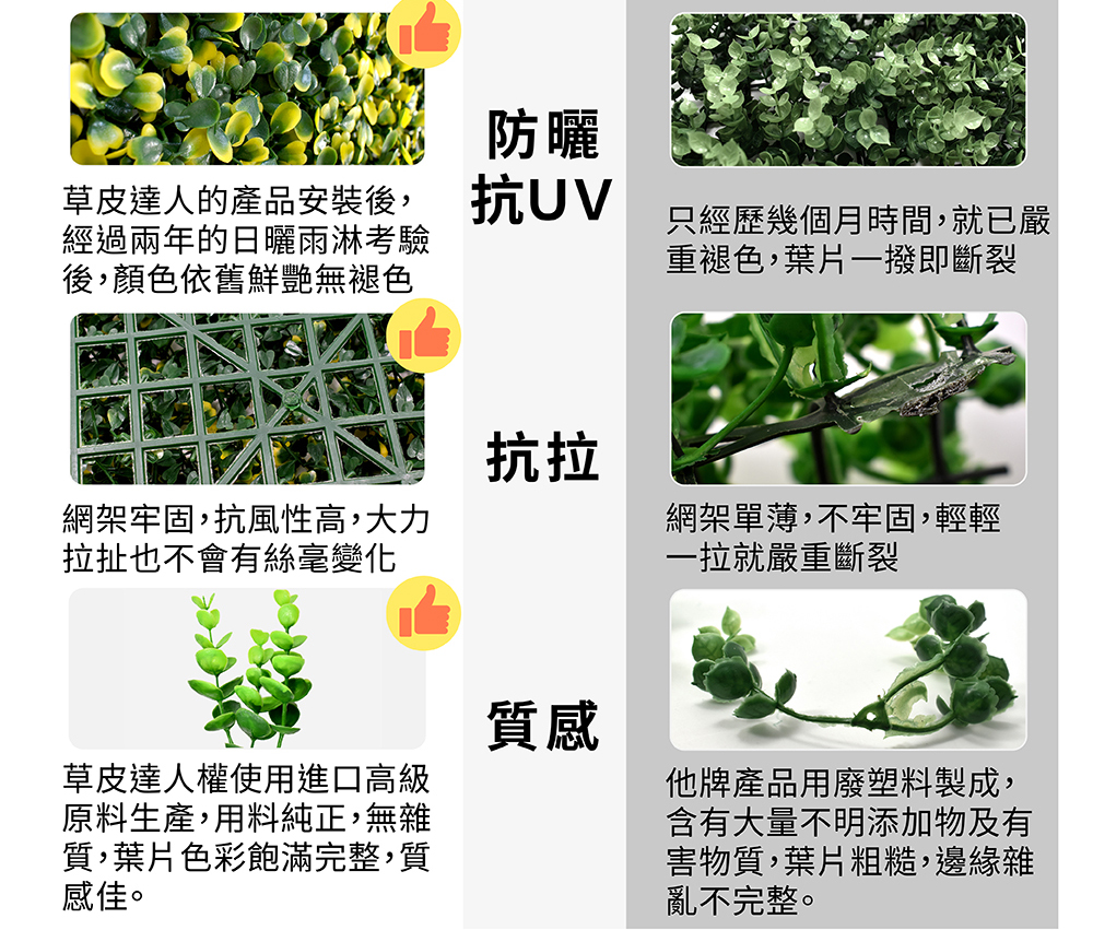 草皮達人[Masturf]-富貴什錦葉 (蕨類)