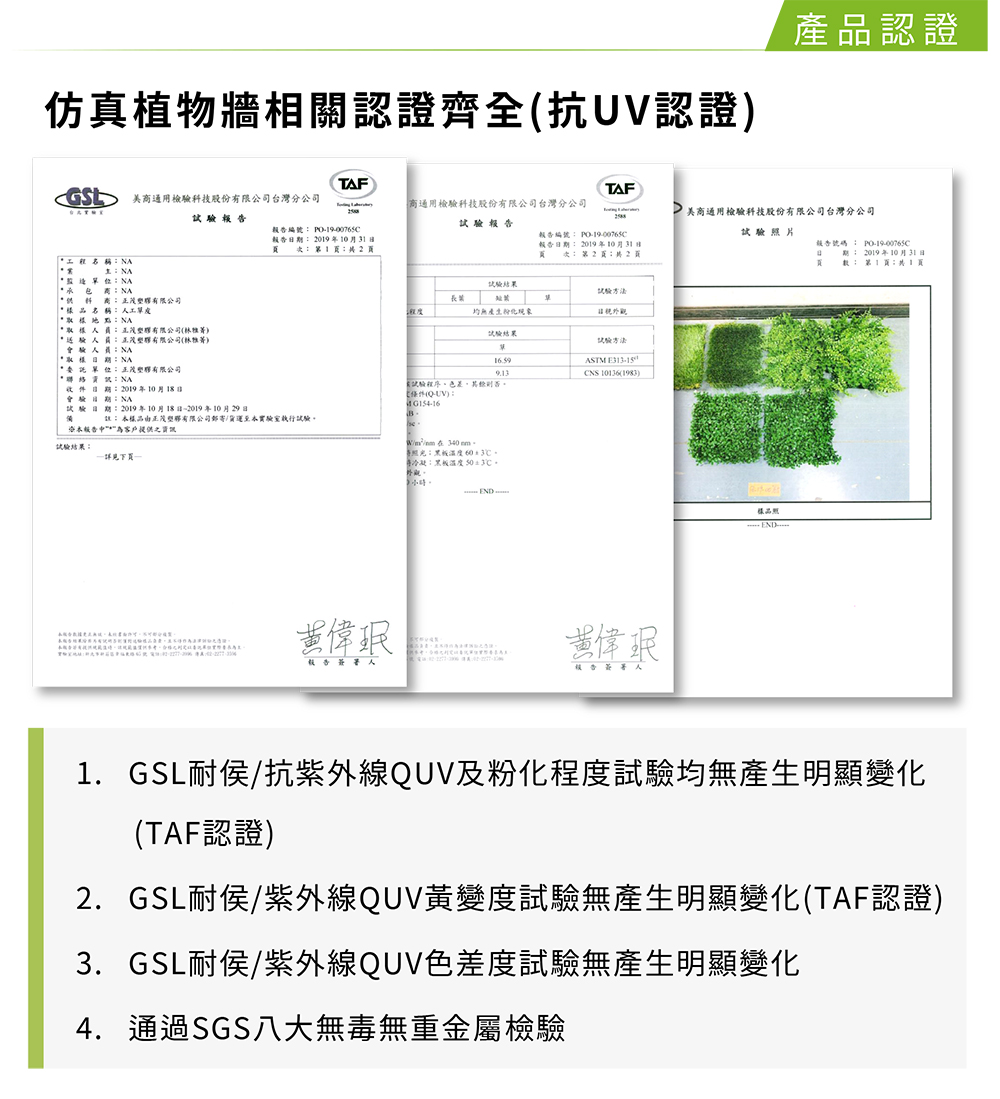 草皮達人[Masturf]-富貴什錦葉 (蕨類)