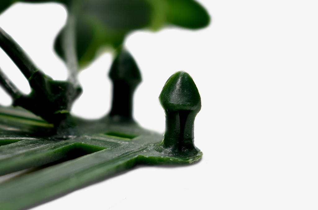 草皮達人[Masturf]-金錢草