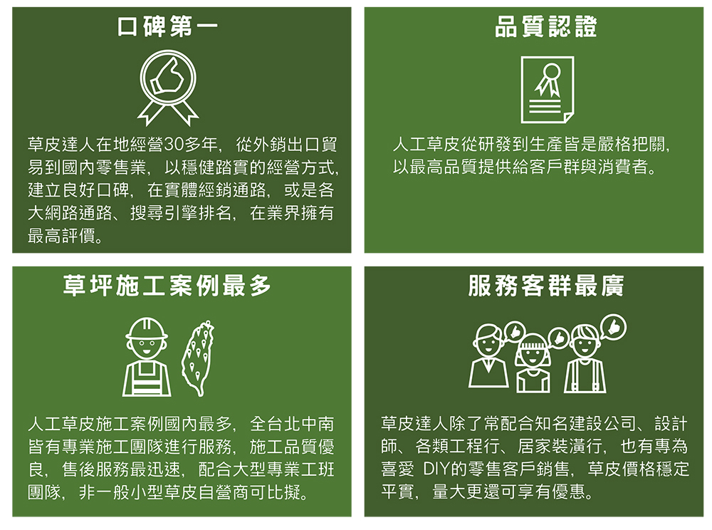 草皮達人[Masturf]-富貴什錦葉 (蕨類)