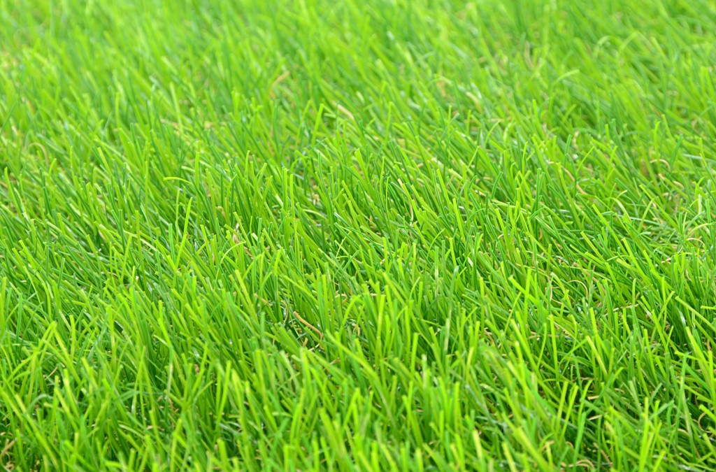 草皮達人[Masturf]-Green Field Angel