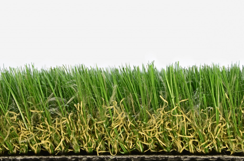 草皮達人[Masturf]-荷蘭皇家草