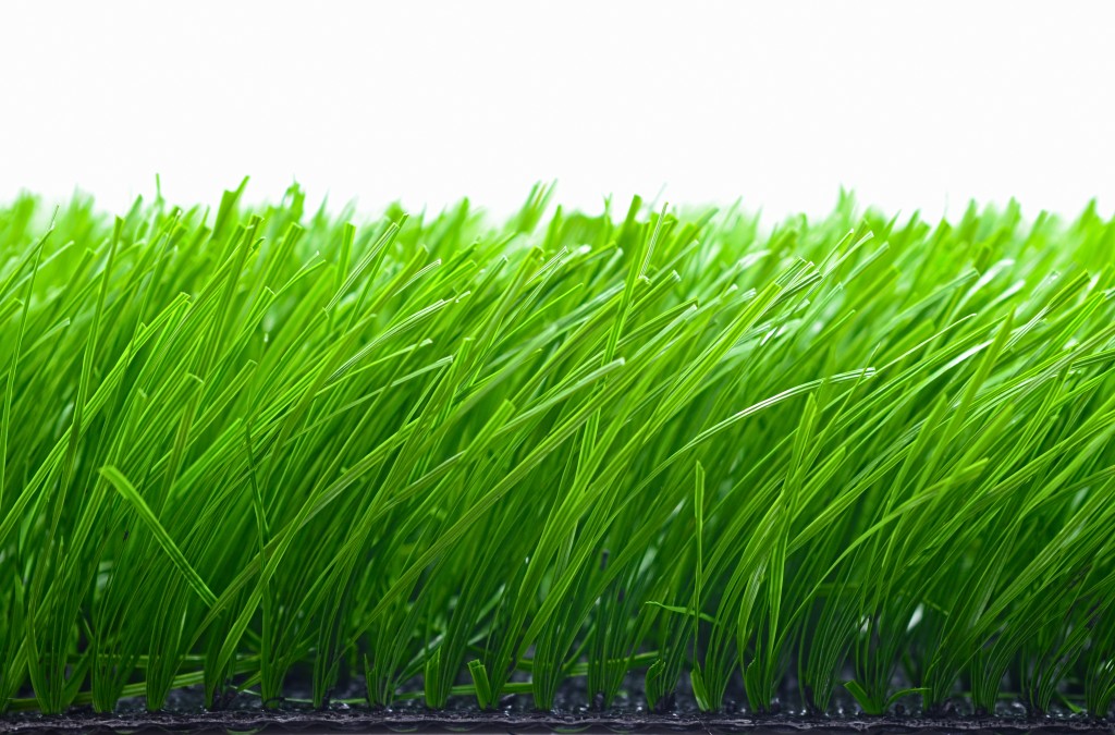 草皮達人[Masturf]-Soccer field dedicated grass
