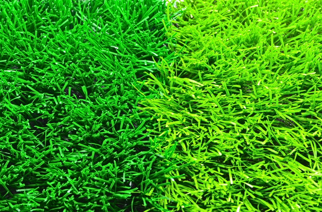 草皮達人[Masturf]-Soccer field dedicated grass