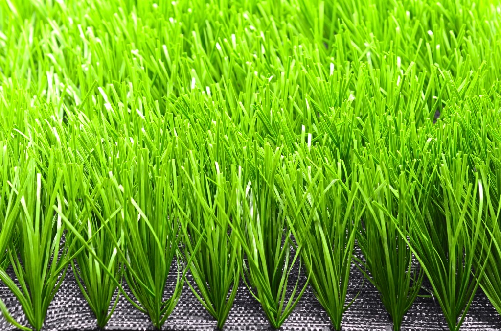 草皮達人[Masturf]-Soccer field dedicated grass