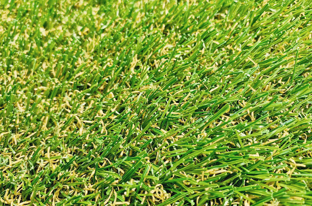 草皮達人[Masturf]-寵物專用草