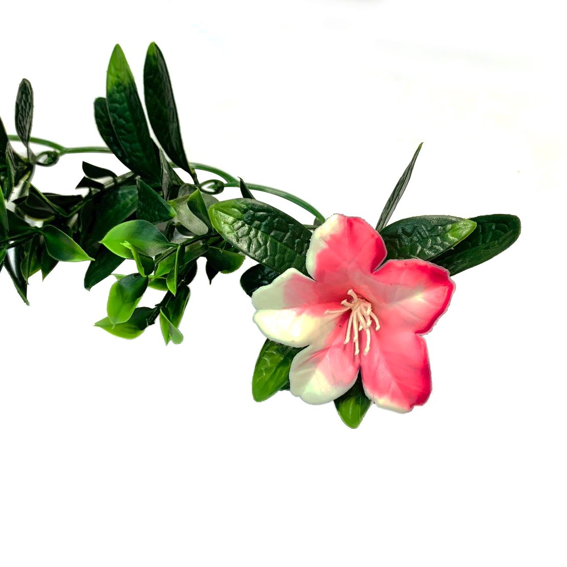 草皮達人[Masturf]-杜鵑花長吊籃