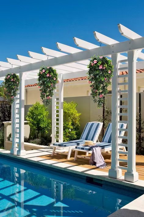 草皮達人[Masturf]-杜鵑花長吊籃