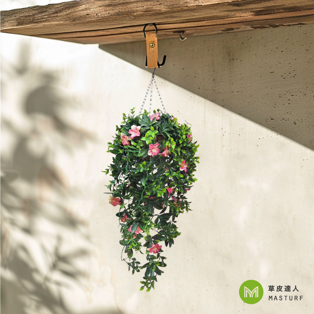 草皮達人[Masturf]-杜鵑花長吊籃
