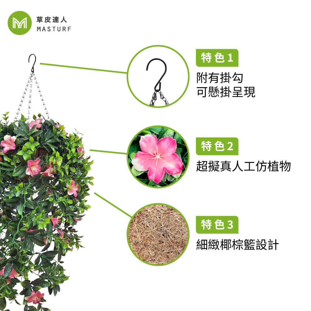 草皮達人[Masturf]-杜鵑花長吊籃