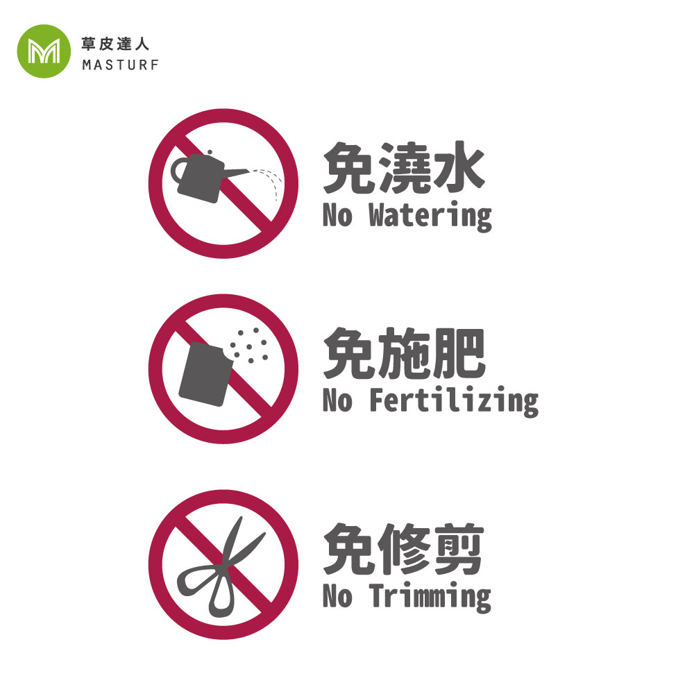 草皮達人[Masturf]-杜鵑花長吊籃