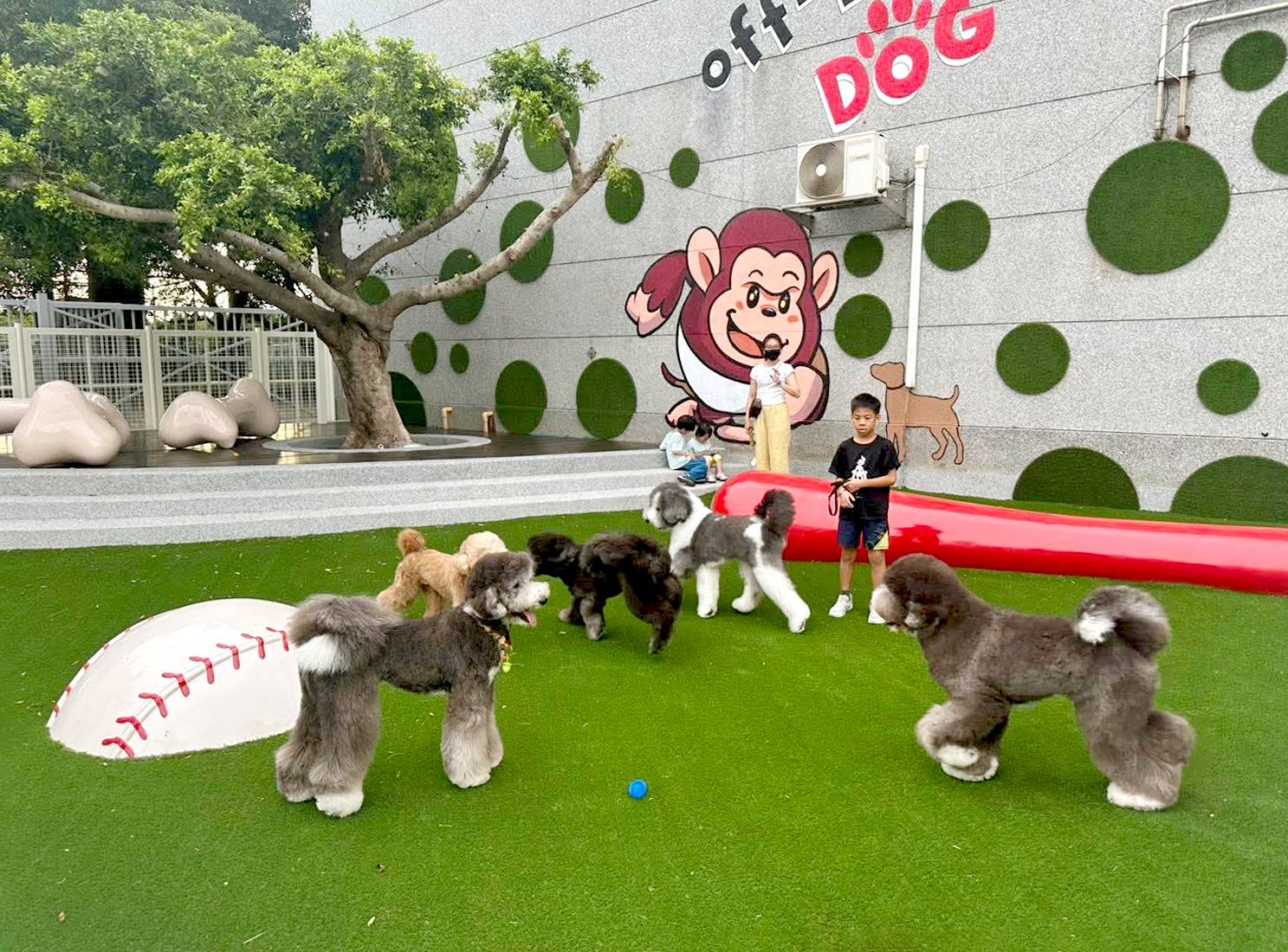 草皮達人[Masturf]-桃園－樂天棒球場寵物樂園